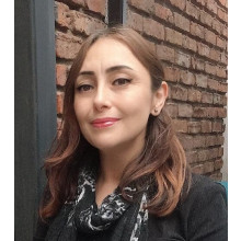 Berna Gülerman Dübüş